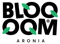 logo main